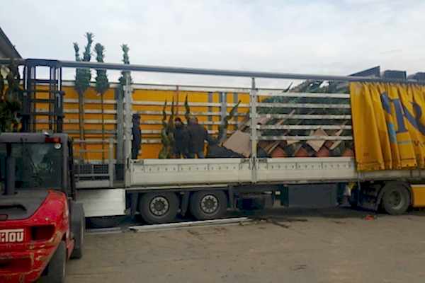 İthalat ve İhracat